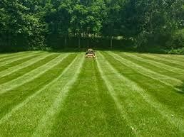 Landscaping Lawn Care for MLC in Murfreesboro, TN