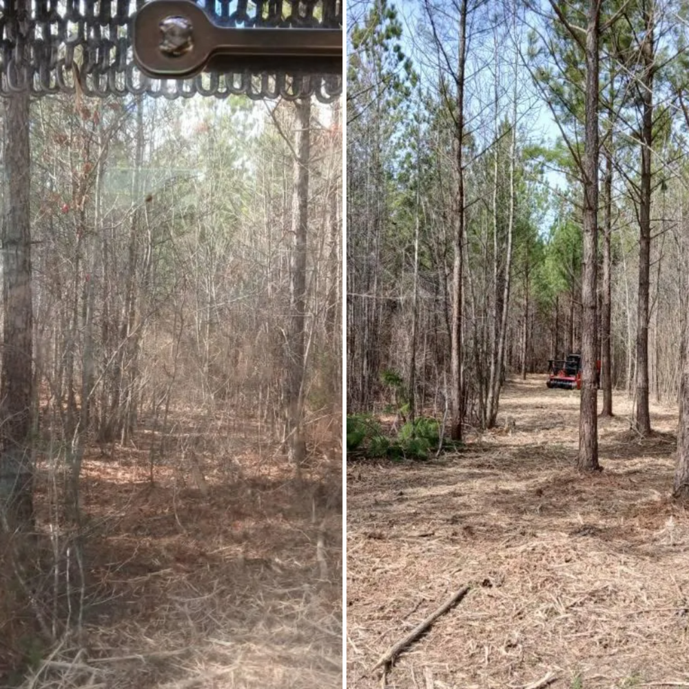 All Photos for Whiskey Ridge Mulching & Land Services in South Boston, VA