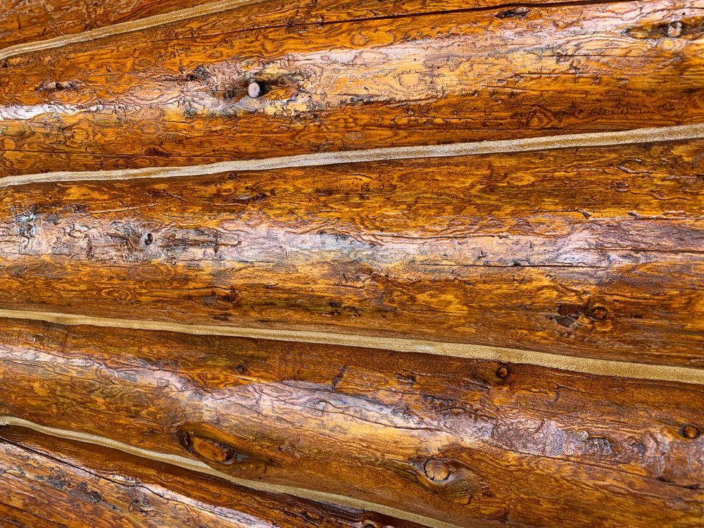 All Photos for True Blue Logworks LLC in Corvallis, MT