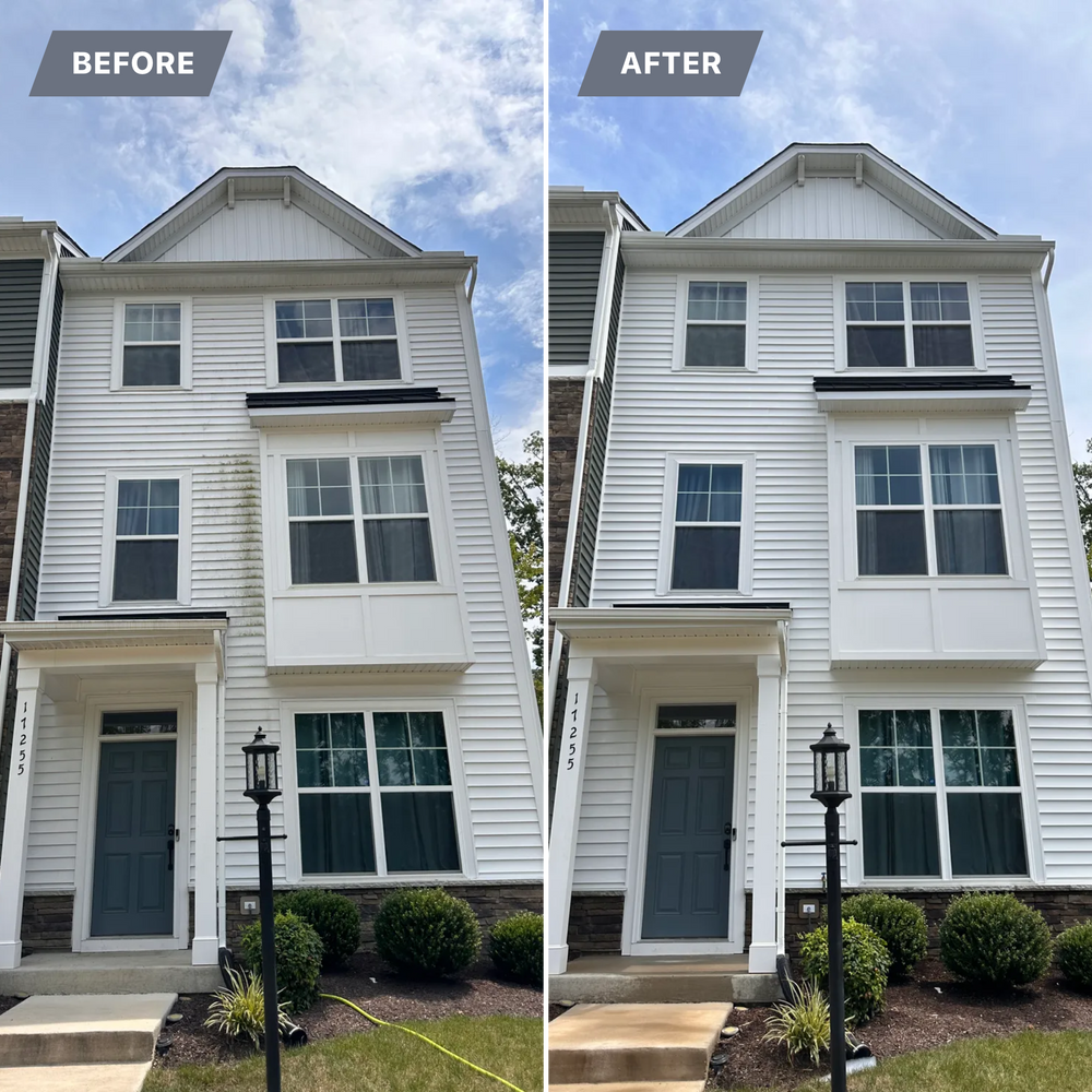 All Photos for LeafTide Solutions in Richmond, VA