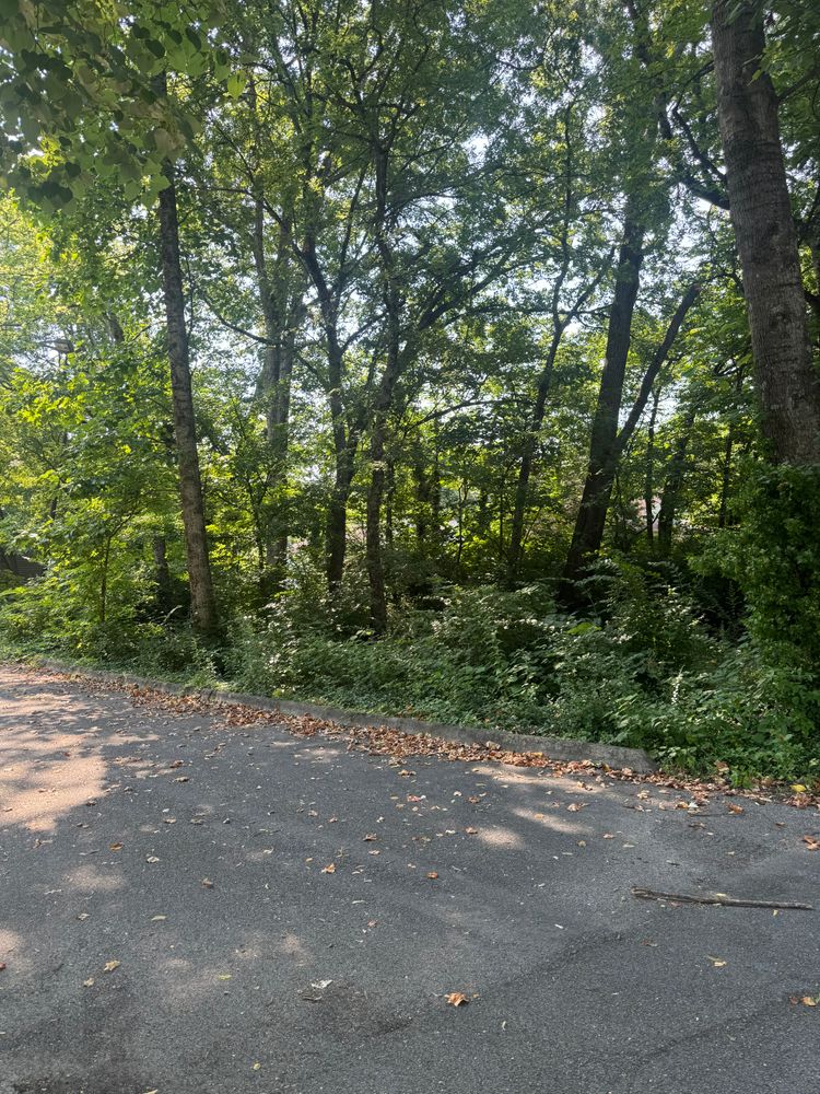 All Photos for Miller Farms Hay & Land Management in Knoxville, TN