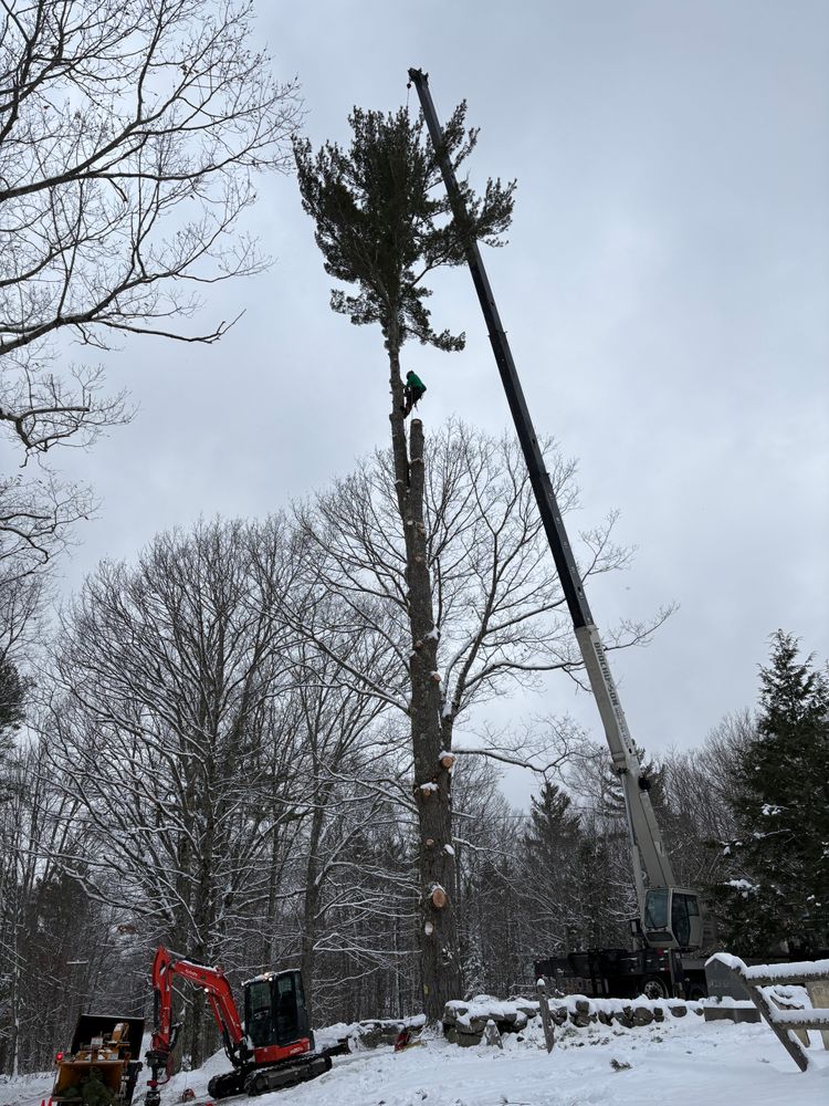All Photos for Clifford’s Quality Tree Care & Landscaping in Enfield, NH