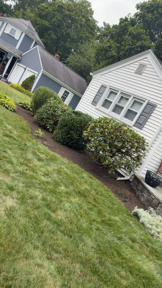 Our Tree & Shrub Care service keeps your landscape healthy, attractive, and thriving with expert pruning, fertilization, disease monitoring, and seasonal maintenance tailored to your property’s unique needs. for Kingston Lawn Care in Providence, RI