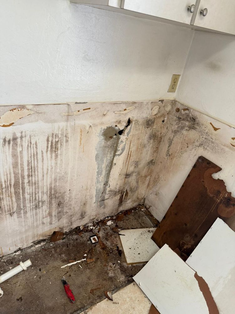 All Photos for N&D Restoration Services When Disaster Attacks, We Come In in Cape Coral,  FL