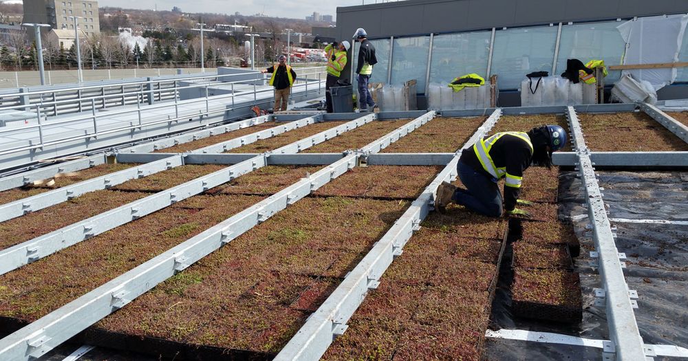 All Photos for Triumph Inc - Repair & Maintenance in Scarborough, ON