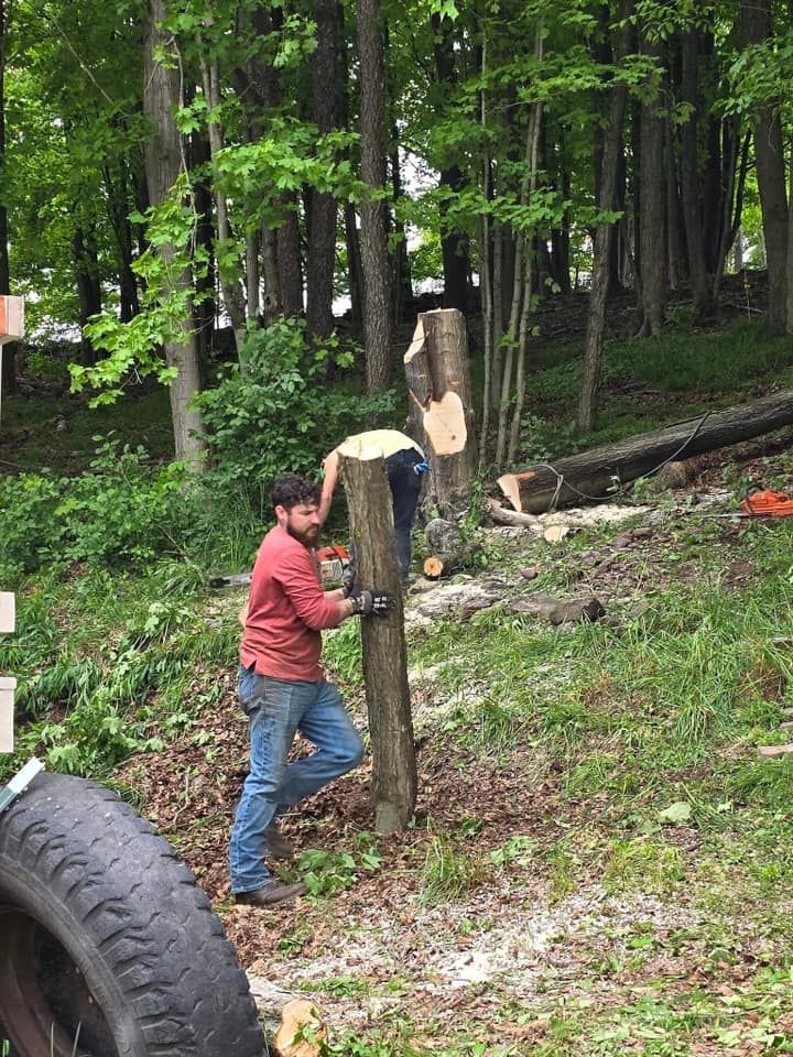 Tree Removal for Licensed to Cut in Athens, PA