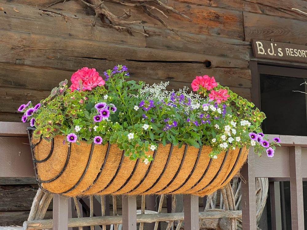 Mixed annual container gardens offer a fantastic way to introduce vibrant color and dynamic textures to any space. Contact us today to discuss options for your property. for Sustainable Lawn and Landscape in Banner Elk, NC