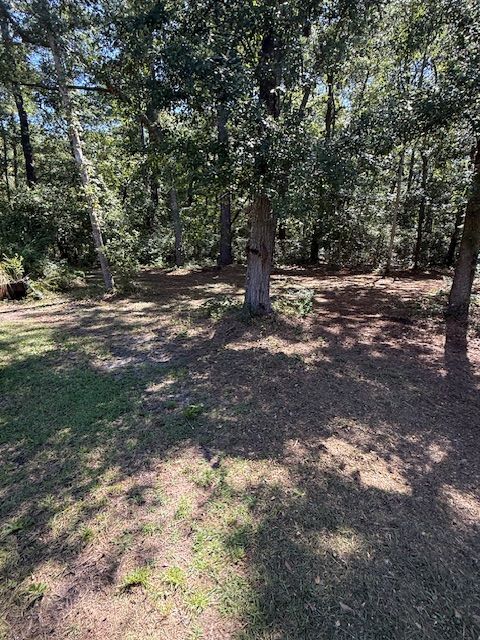 All Photos for Hawkins Tree Service & Land Management in Richmond Hill, GA