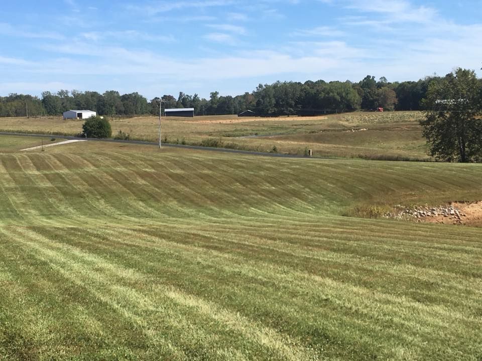 Landscaping for Fescue 911 in Ashland City, TN