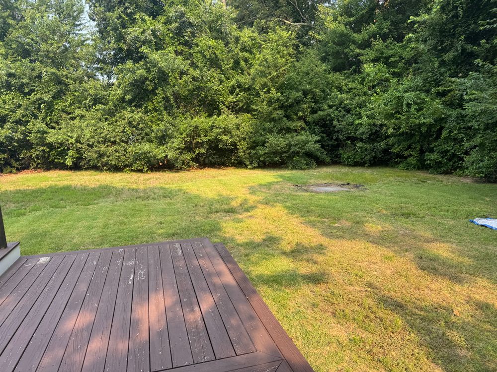 All Photos for Adams Landscaping in Springfield, MA