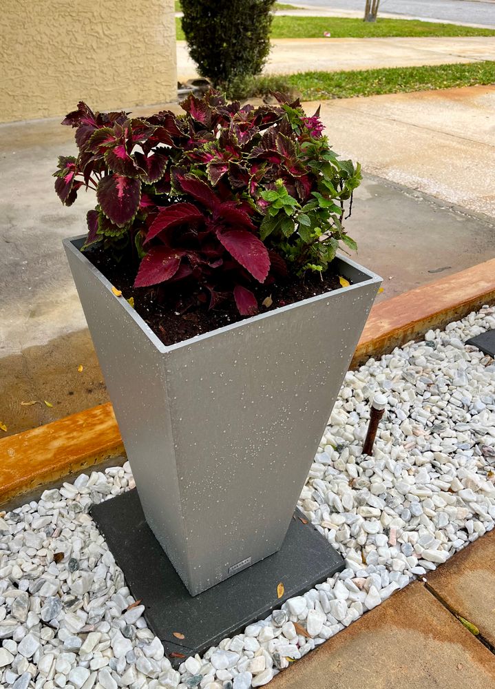 Landscape Design and Installation for Verimay's Garden and Landscaping in Hillsborough County, FL