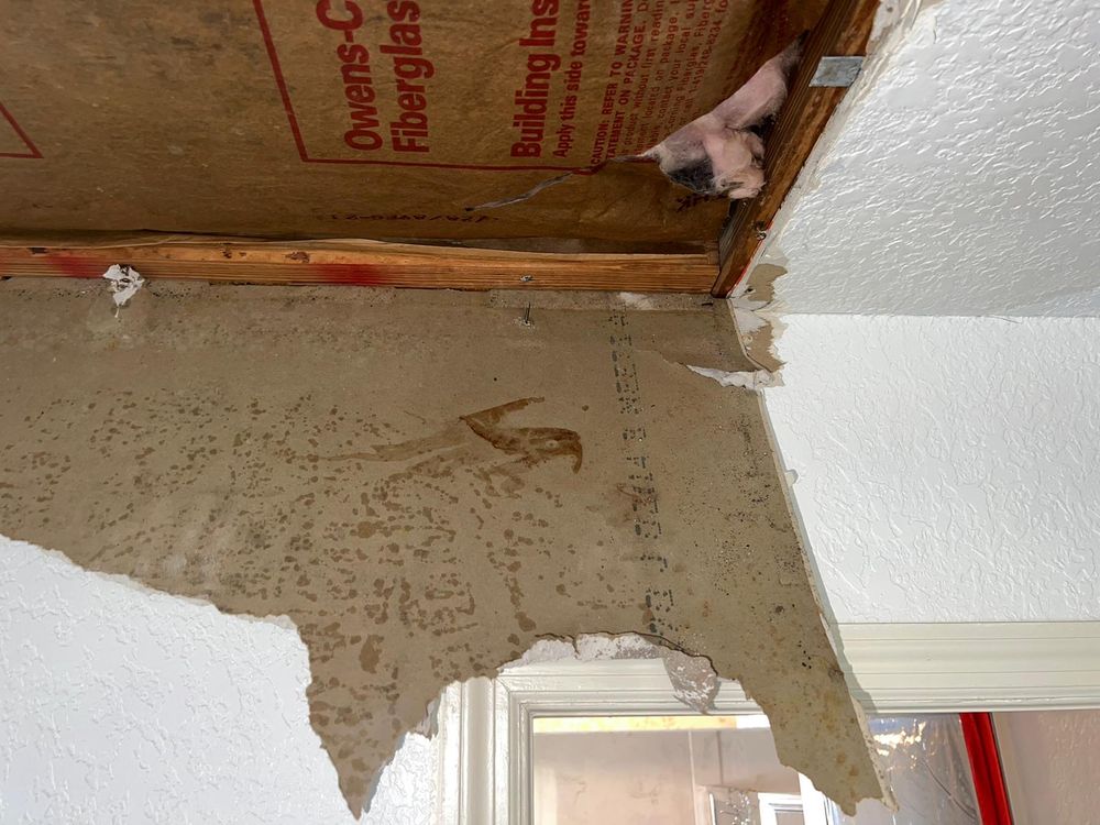 Mold Remediation for N&D Restoration Services When Disaster Attacks, We Come In in Cape Coral,  FL