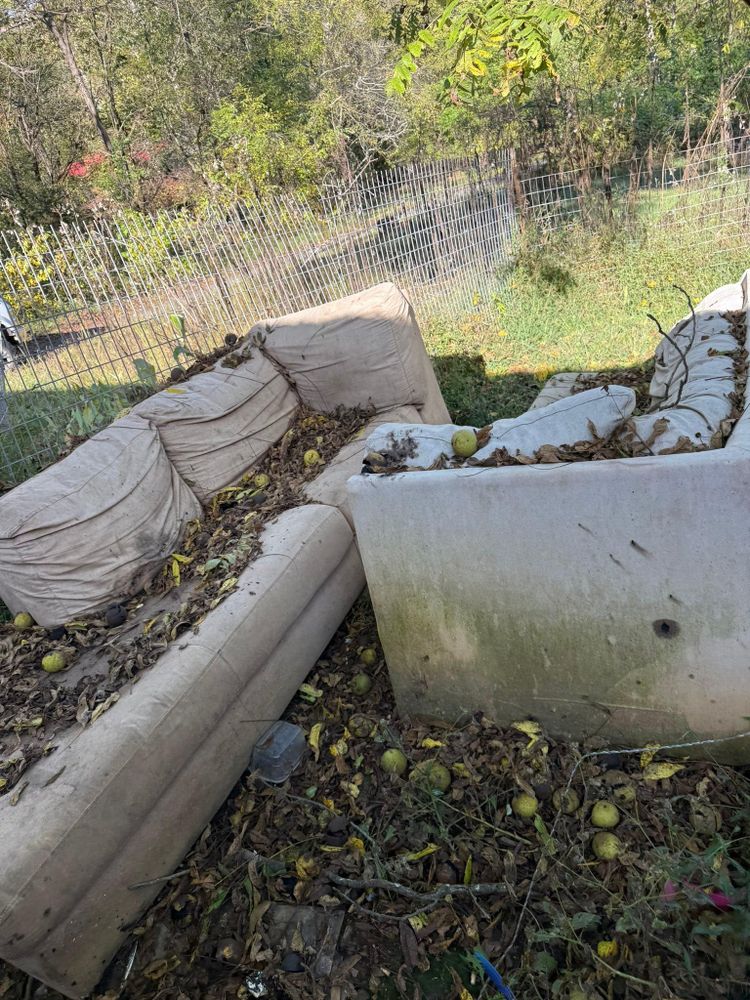 All Photos for Momos Construction in Piney Flats, TN