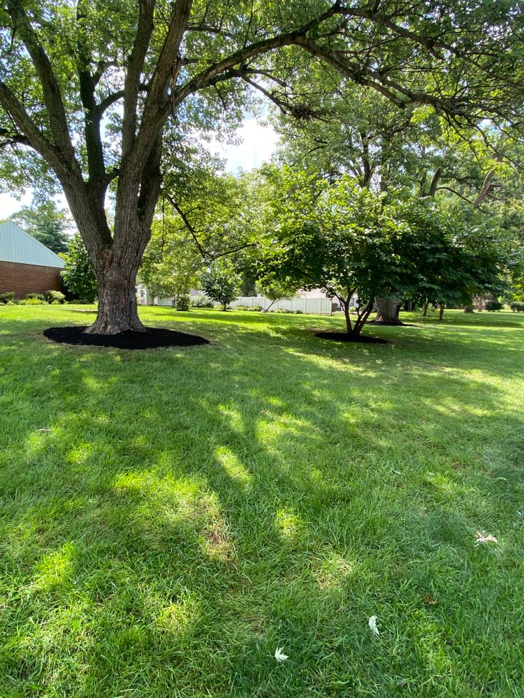 Lawn Mowing for Castle JR Landscaping & Painting LLC in Cincinnati, OH