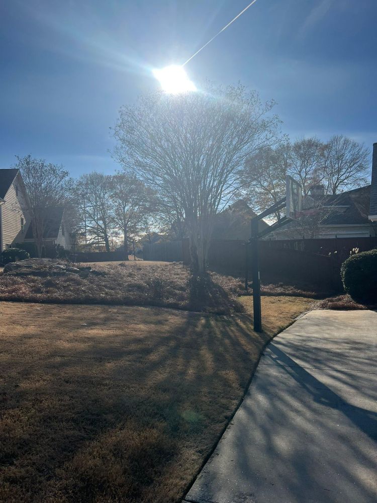 All Photos for Adams Landscape Management Group LLC. in Loganville, GA