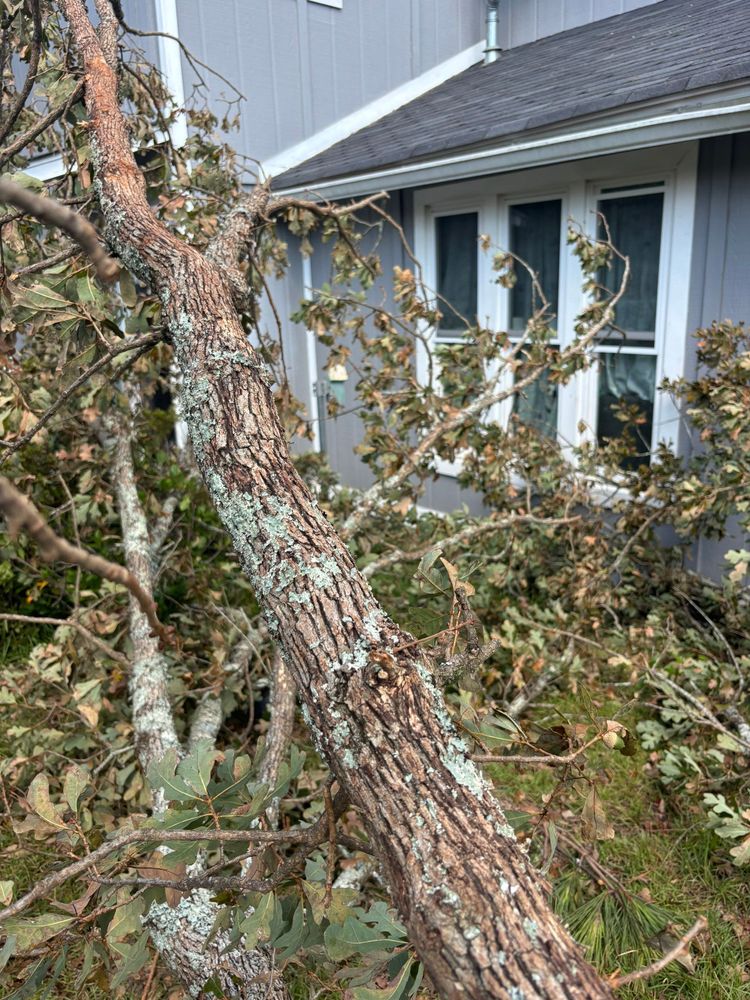 All Photos for Bulldawg Disaster Response in Atlanta, GA