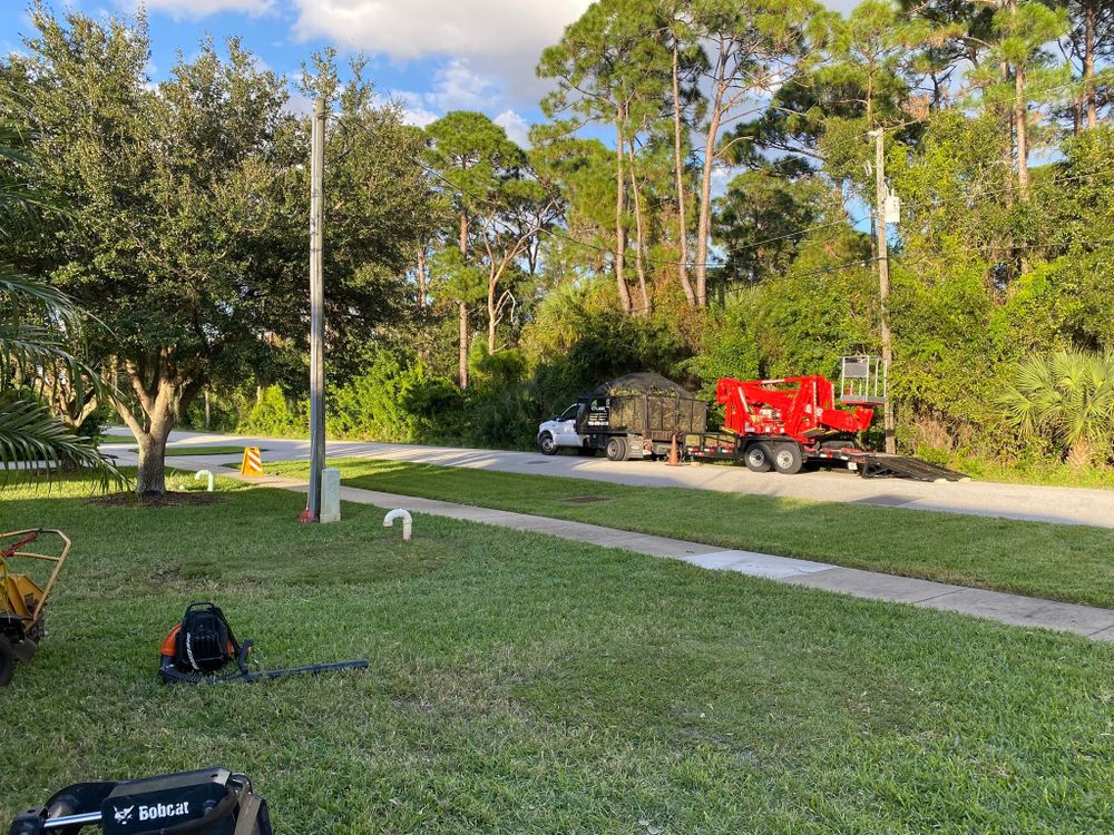 Tree Removal for MX Trees LLC in Englewood, FL