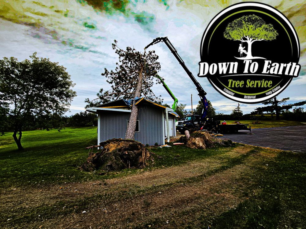 All Photos for Down To Earth Tree Service in Red Wing,  Minnesota