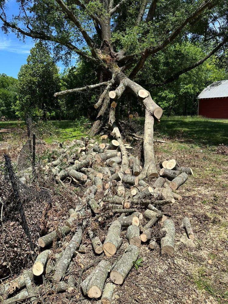 Our Emergency Tree Services provide rapid response to address hazardous tree situations, ensuring your property remains safe and secure during unexpected storms or accidents. Your safety is our top priority. for Ramirez Tree Care in Elkin, NC