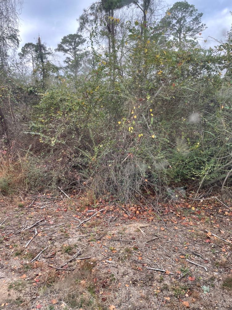 All Photos for Ewc Land Clearing and more in Lake Park, GA