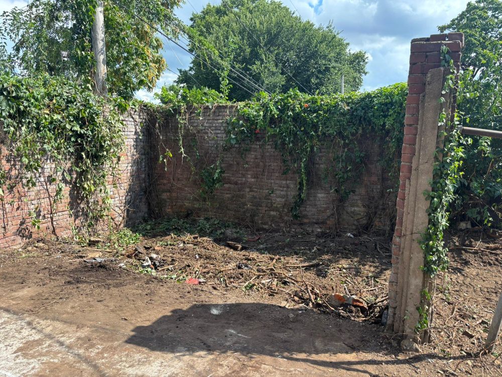 All Photos for Cross Family Tree Service in Kearney, MO