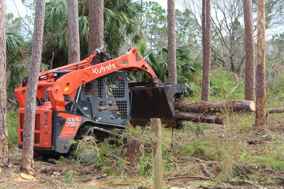 Tree Removal for American Tree Masters in Alvin, TX