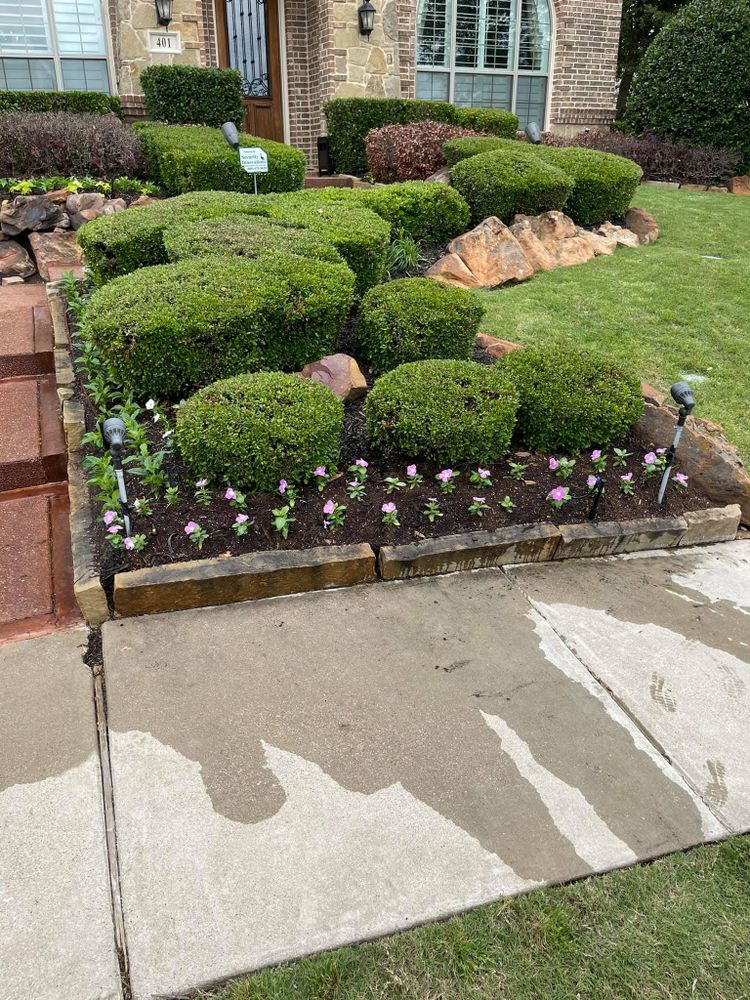 Seasonal color changes for Guerrero's Landscape in Fort Worth,  TX