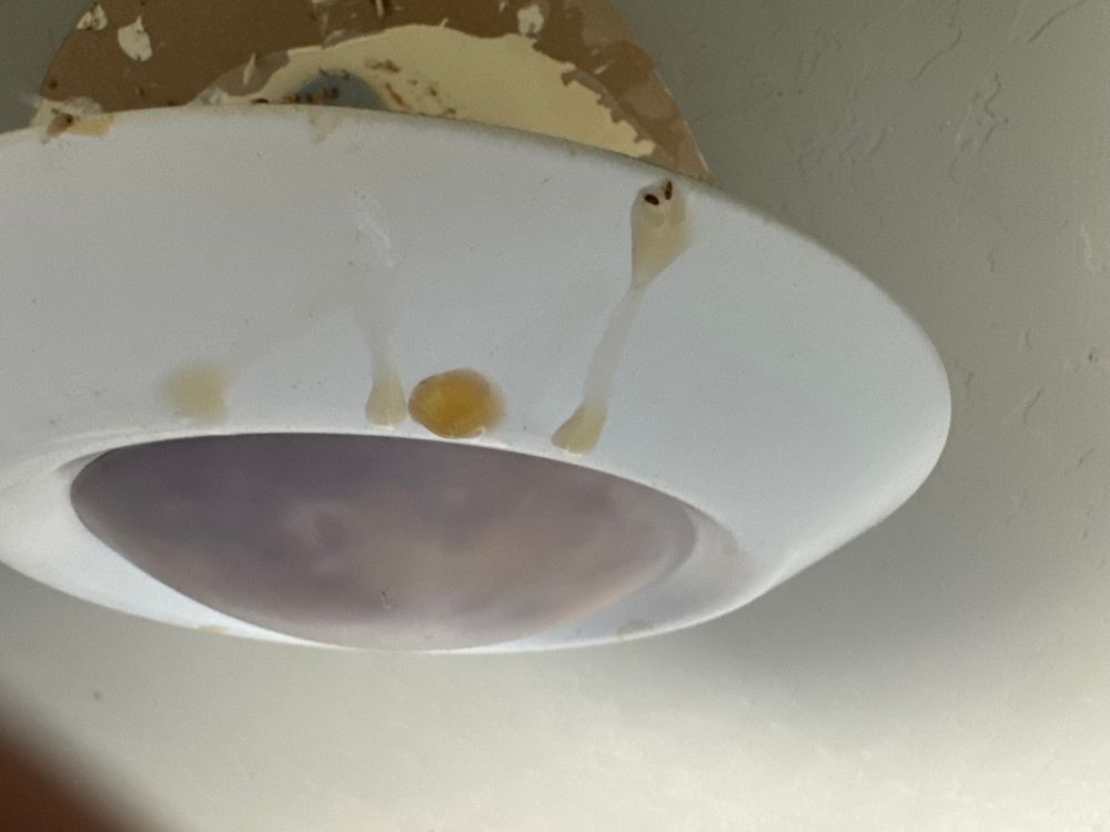 All Photos for Hendershot Construction in Maricopa, AZ