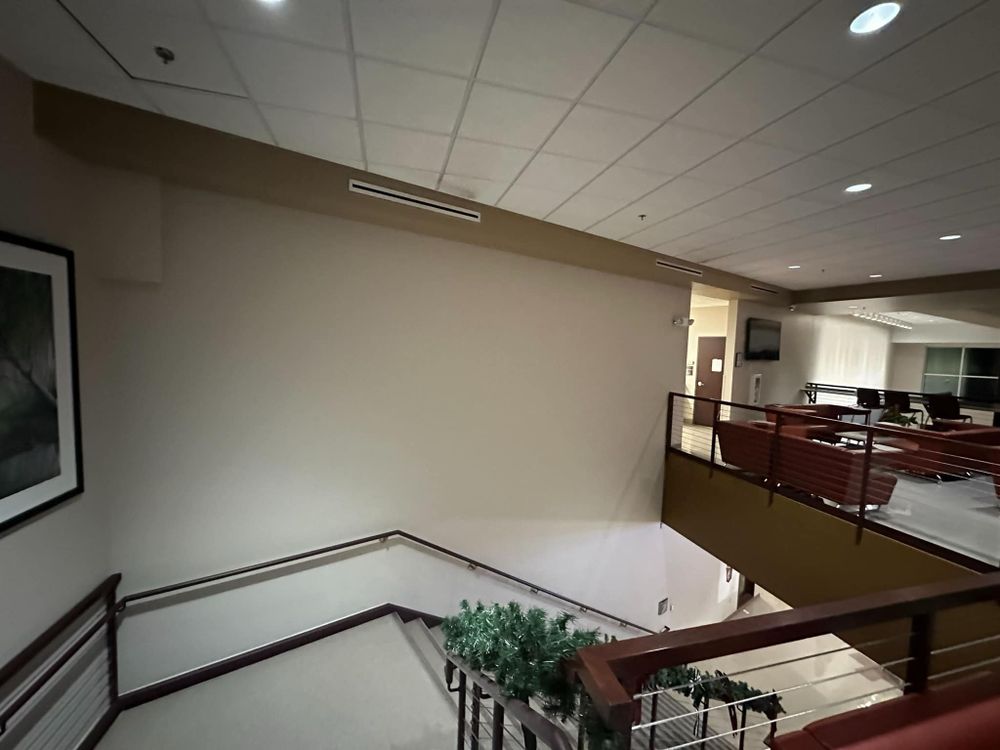 All Photos for Mr. Mole's Painting in Bemidji, MN