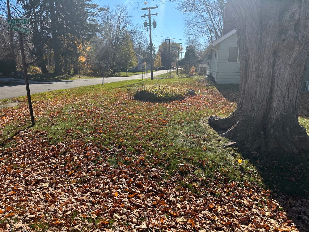 All Photos for Lighthouse Lawn Care and Irrigation in Marysville, MI