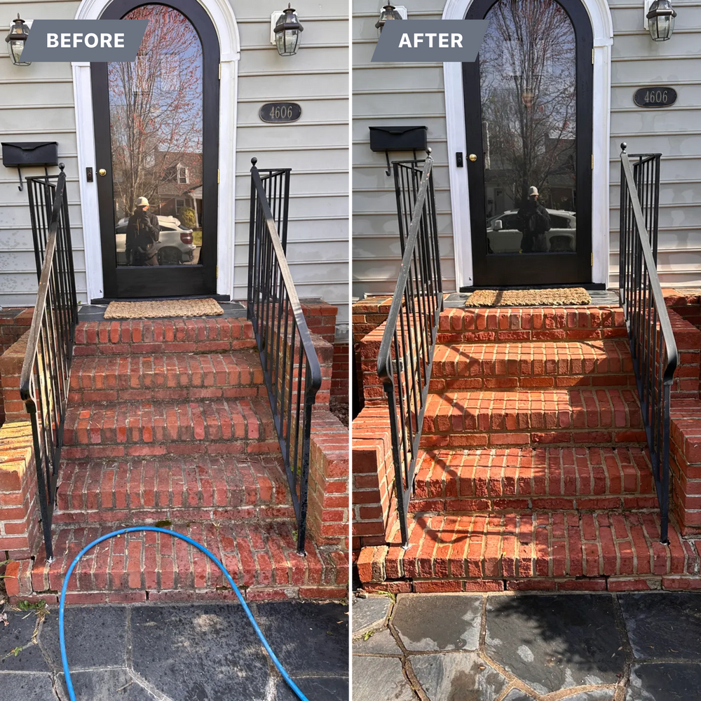 All Photos for LeafTide Solutions in Richmond, VA