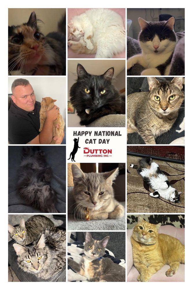 Water Heater & Tankless Water Heater Installation - Repair for Dutton Plumbing, Inc. in Indianapolis, IN