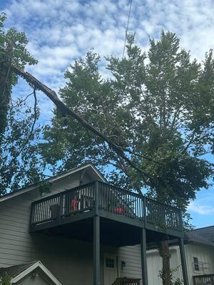 All Photos for Bulldawg Disaster Response in Atlanta, GA