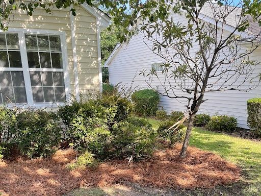 All Photos for Patriot Soft Wash LLC in Beaufort, SC