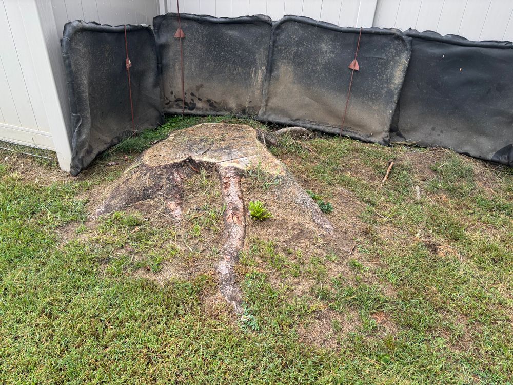 All Photos for Conrad's Stump Removal in Columbus, IN