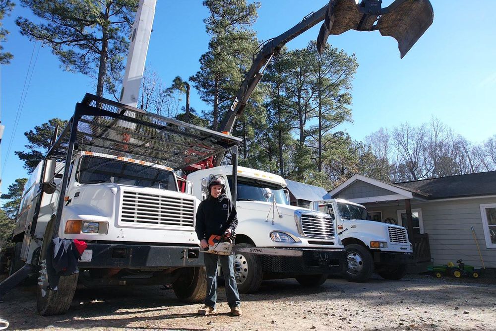 All Photos for AB Tree Service in Raleigh, NC