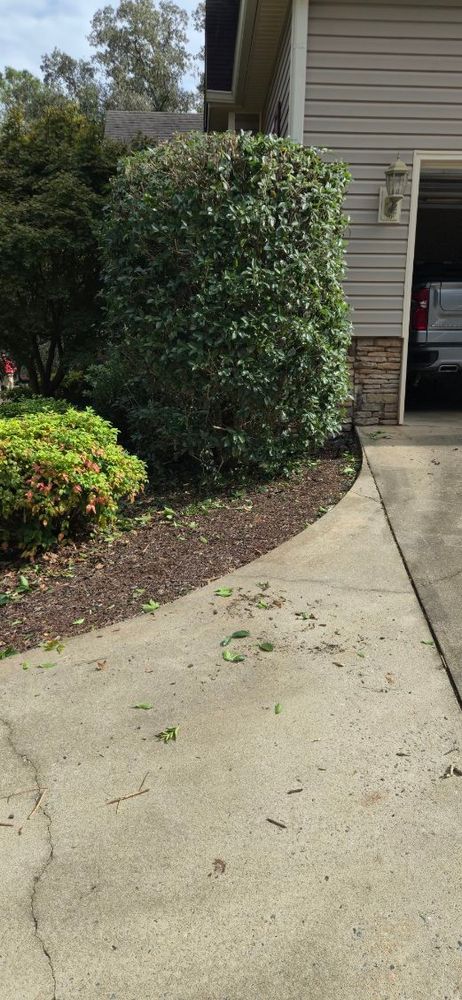 All Photos for Fresh Cut Yard & Lawn Care LLC in Forsyth, GA