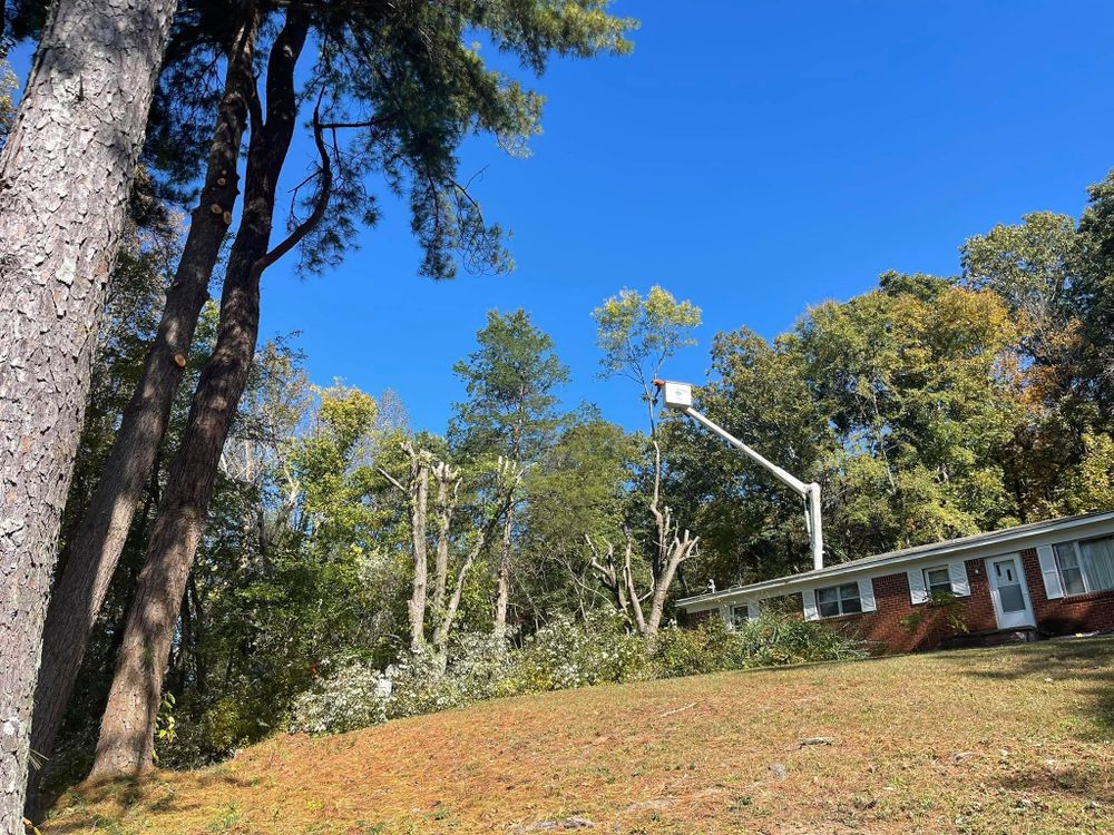 All Photos for Ross Family Tree Service LLC  in Hohenwald, TN