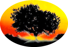 All Photos for Oak Tree Construction in Thousand Oaks, CA