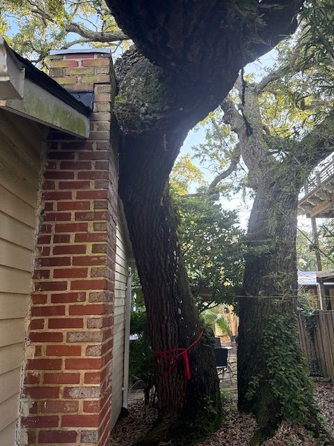 All Photos for Hawkins Tree Service & Land Management in Richmond Hill, GA