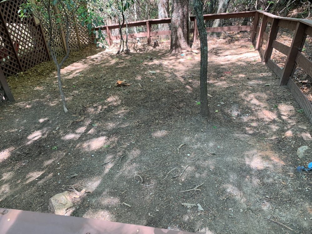 Land Clearing for T Crane Grading LLC in Clarkesville, GA