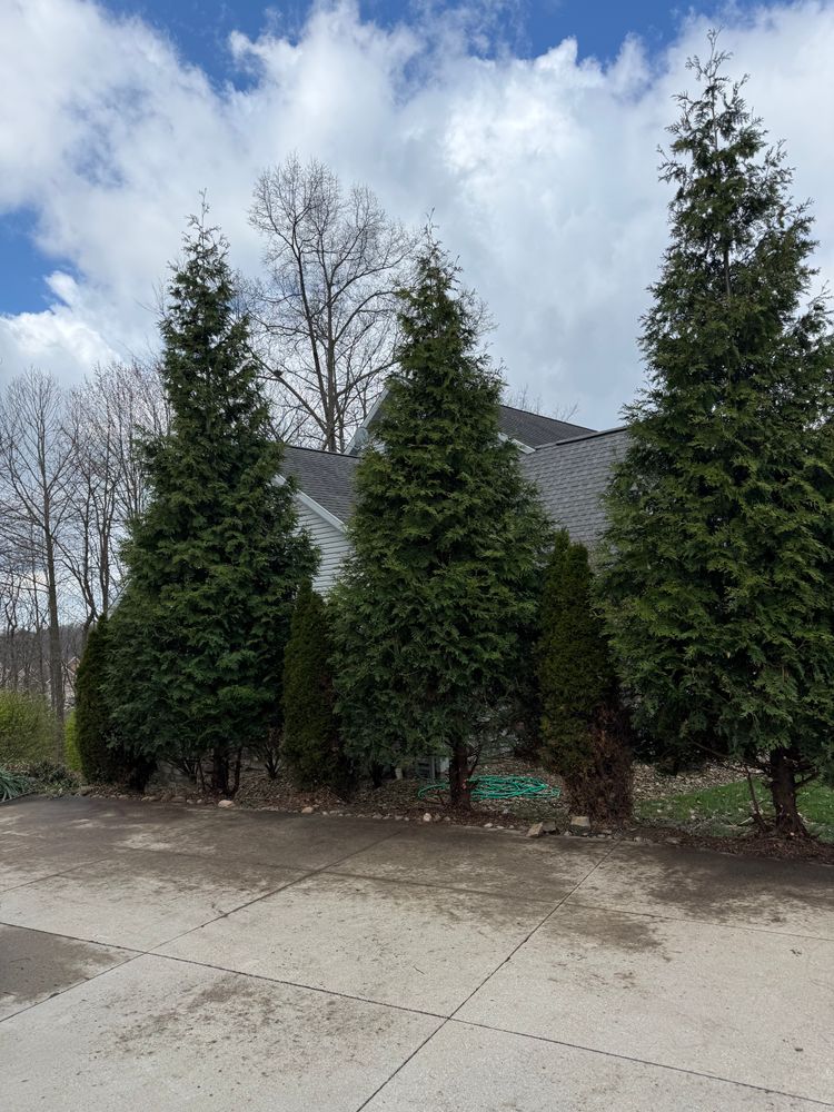 All Photos for Jenkins Landscaping & Property Management LLC in Clinton, OH