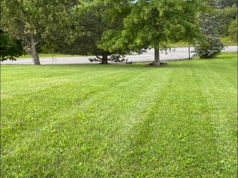 Lawn Care for RNM Landscaping in Utica, NY