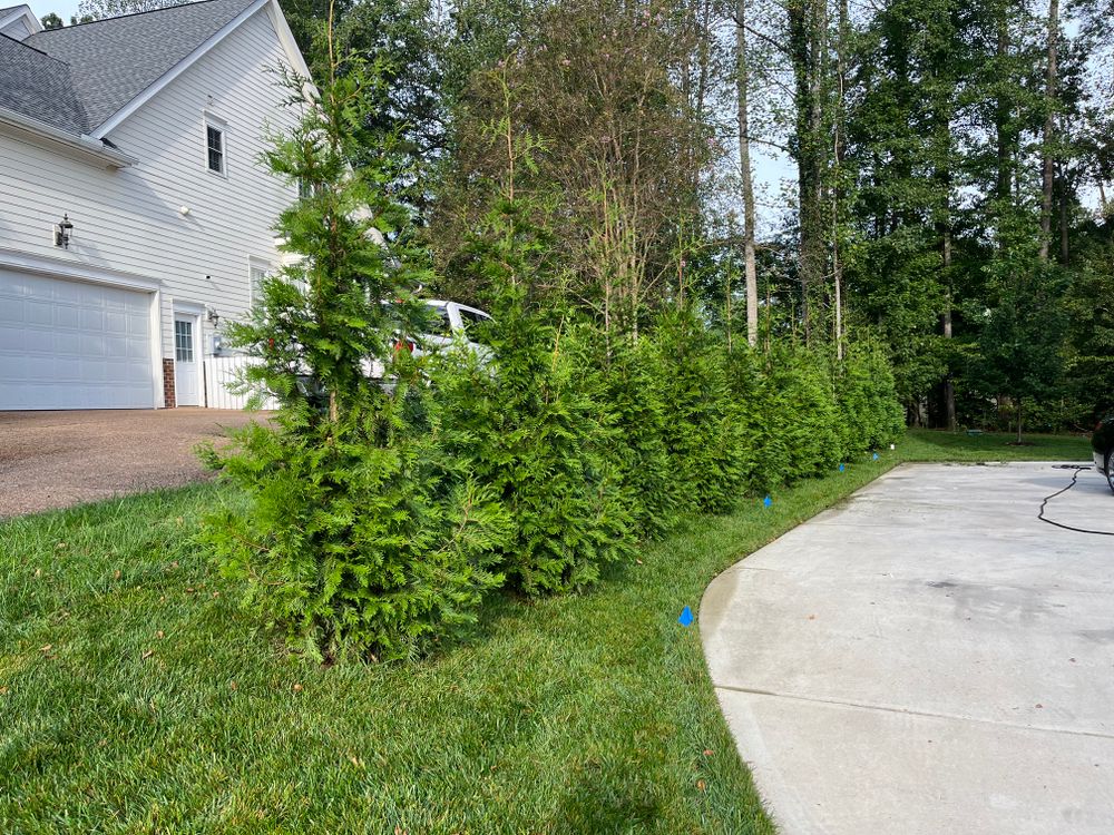 Enhance your outdoor space with our expert Tree and Shrub Installation service, designed to select, plant, and nurture beautiful greenery that complements your landscape while boosting curb appeal and property value. for Atlas Home Services in Mechanicsville, VA