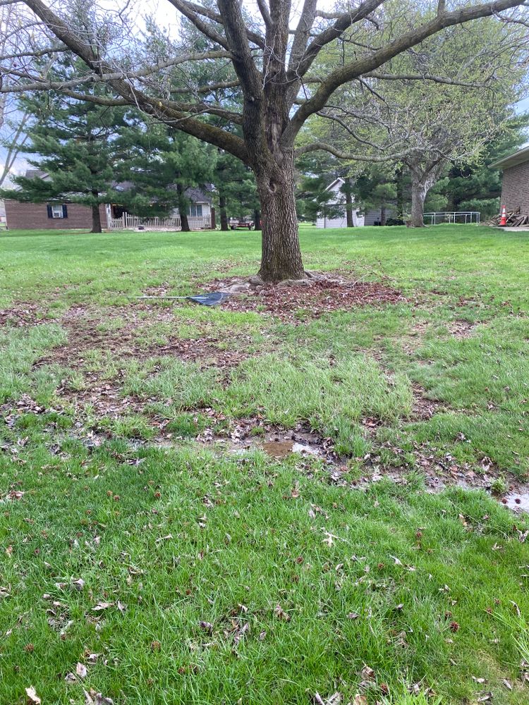 All Photos for Bearforce Lawn Care LLC in Greenfield, IN
