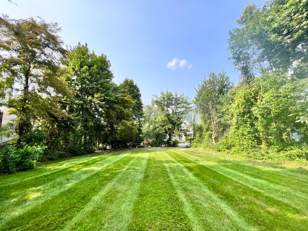 Lawn Care for LJ Lawn & Property Maintenance, Inc. in Cold Spring, New York