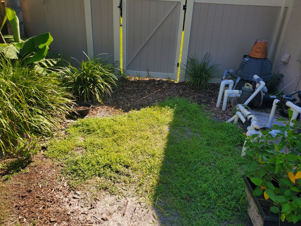 Landscaping for 1 Friendly Lawn Service in Tampa, FL