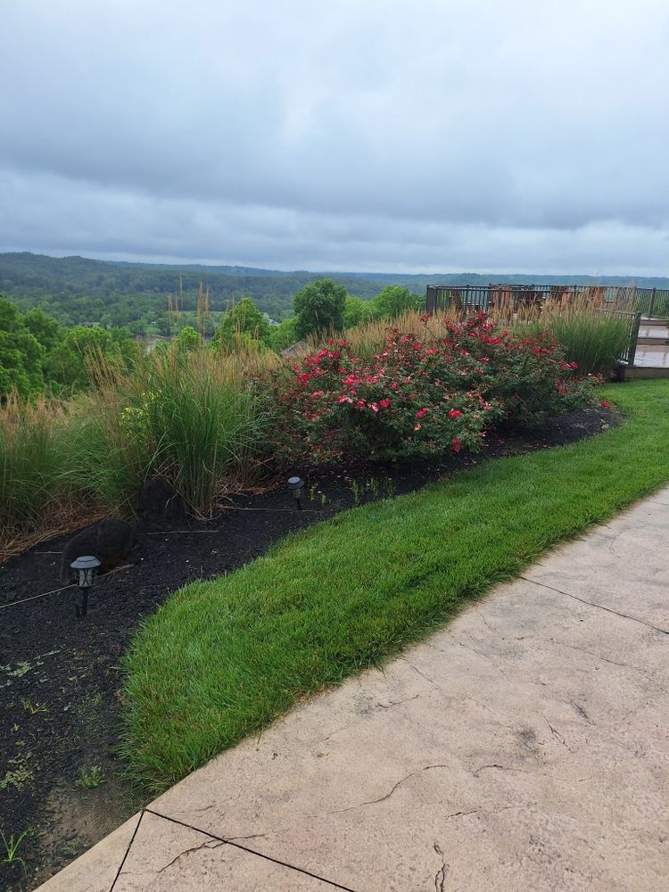 All Photos for Cincinnati’s Finest Landscape Services LLC in Cincinnati, OH