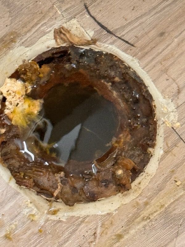 All Photos for Drain Scope Solutions in Agawam, MA