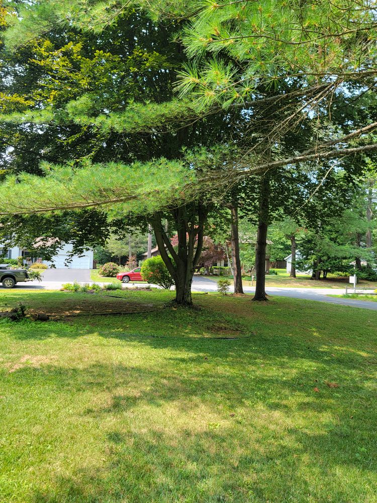 All Photos for Sweet Scapes in Ballston Spa, NY
